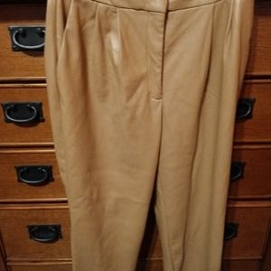 Express pants